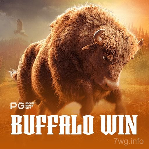 Buffalo Win imagen destacada